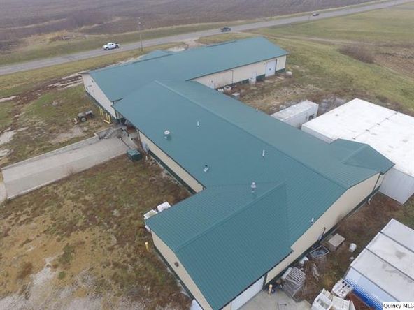 Big River Fish Corporation: 30402 State Highway 107, Griggsville, IL 62340
